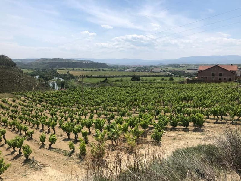 Rioja Wine Tour: 3 Wineries & Pintxos Lunch - Laguardia sets the tone with a 90-minute tasting
