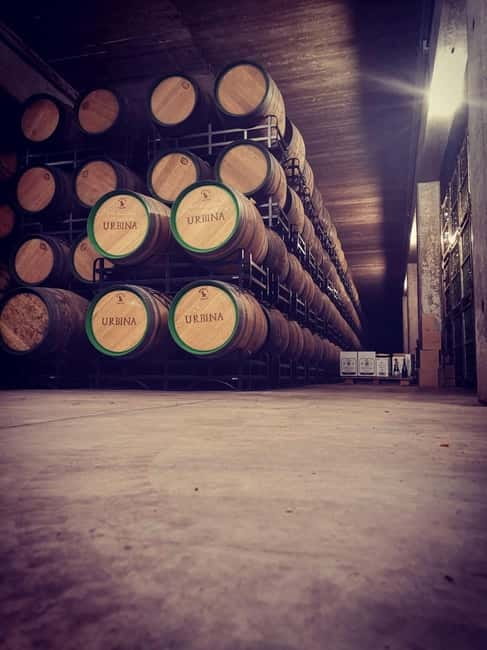 Rioja Wine Tour: 3 Wineries & Pintxos Lunch - The third winery completes the comparison