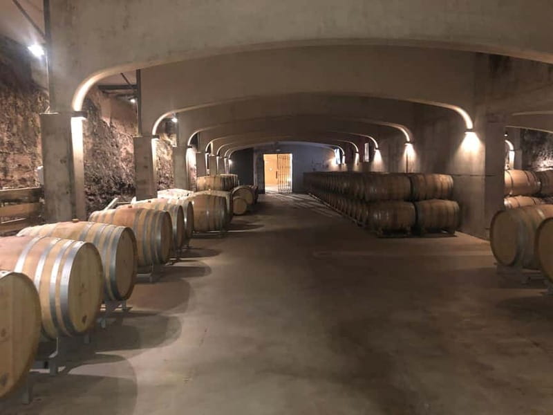 Rioja Wine Tour: 3 Wineries & Pintxos Lunch - Practical details that make the day easier