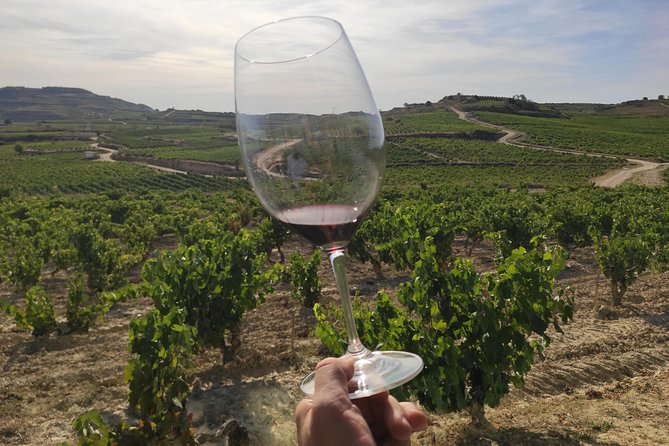 Rioja Wine Tour: Winery & Traditional Lunch From Vitoria - Starting at 9:15 a.m. from Vitoria