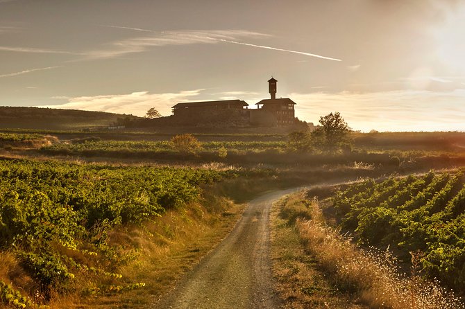 Rioja Wine Tour: Winery & Traditional Lunch From Vitoria - Seeing how Rioja is produced