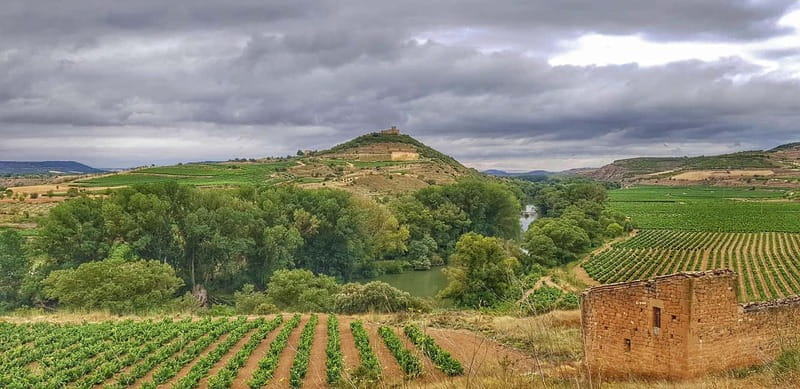 RIOJA: WINE TOUR WITH A WINERY OWNER - Key points to know before booking