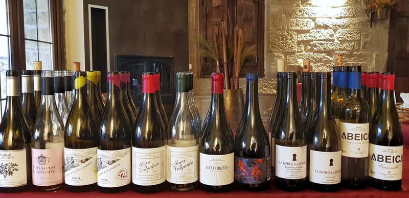 RIOJA: WINE TOUR WITH A WINERY OWNER - Why this Rioja tour feels different