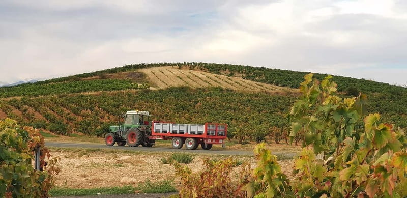 RIOJA: WINE TOUR WITH A WINERY OWNER - Three winery stops, three ways to read Rioja