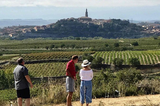 Rioja Wineries and Laguardia Tour with Picnic from San Sebastian - Key points about this Rioja day trip