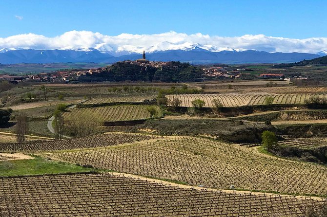 Rioja Wineries and Laguardia Tour with Picnic from San Sebastian - From San Sebastian to Rioja by minivan