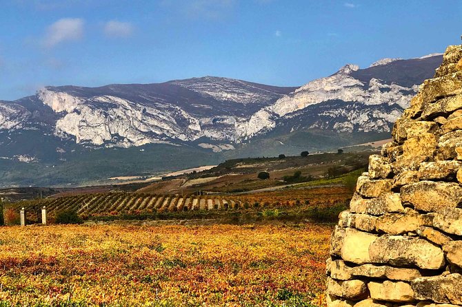 Rioja Wineries and Laguardia Tour with Picnic from San Sebastian - Lunch underground with Rioja crianza