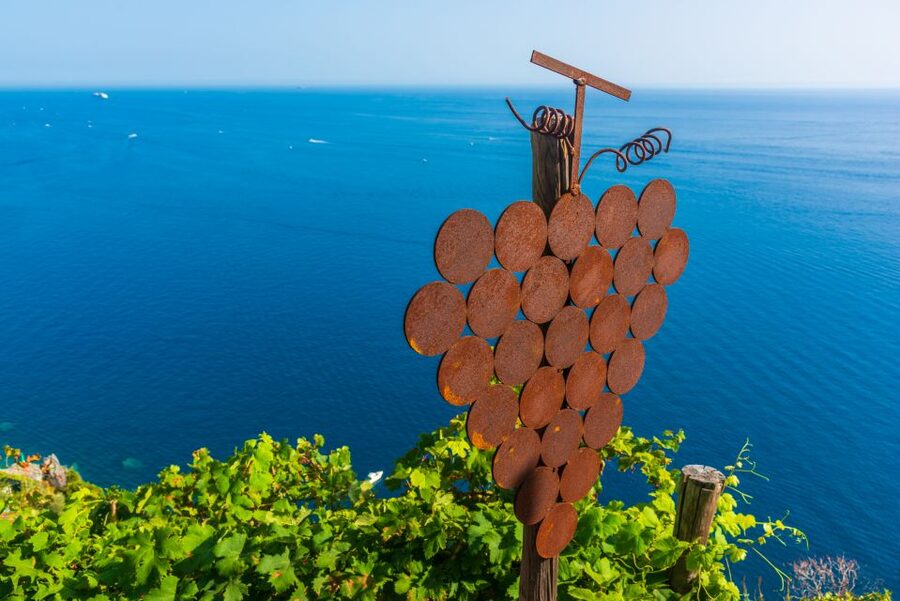 Riomaggiore: Vineyard & Wine Cellar Tour with Wine Tasting - Key points to know before booking