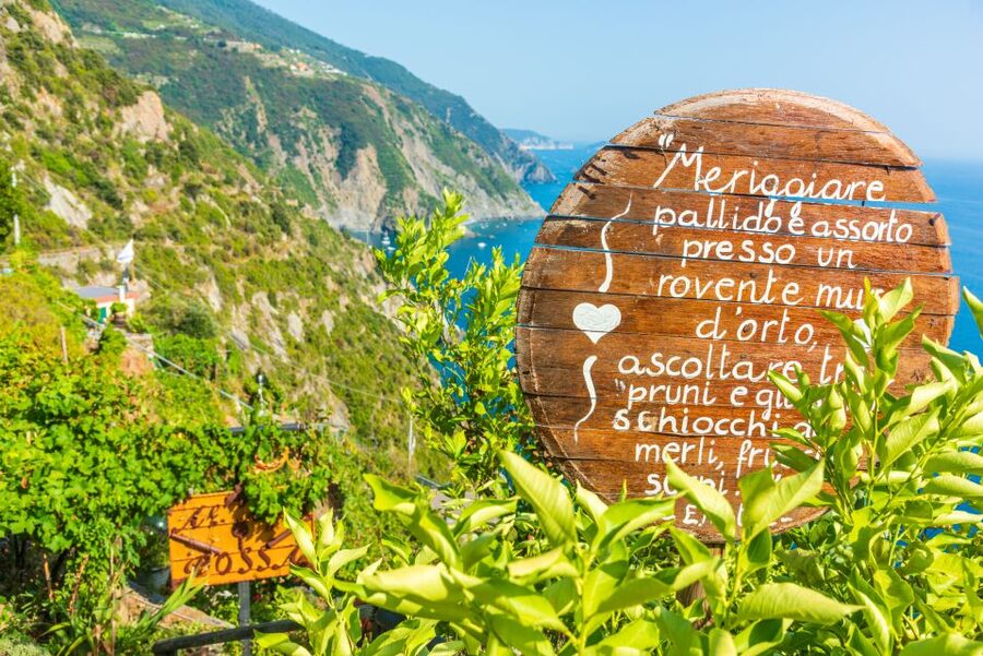 Riomaggiore: Vineyard & Wine Cellar Tour with Wine Tasting - Why this vineyard matters in Riomaggiore