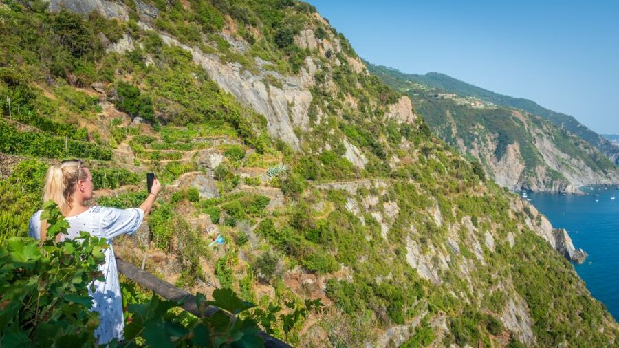 Riomaggiore: Vineyard & Wine Cellar Tour with Wine Tasting - Looking across the vertical vineyards