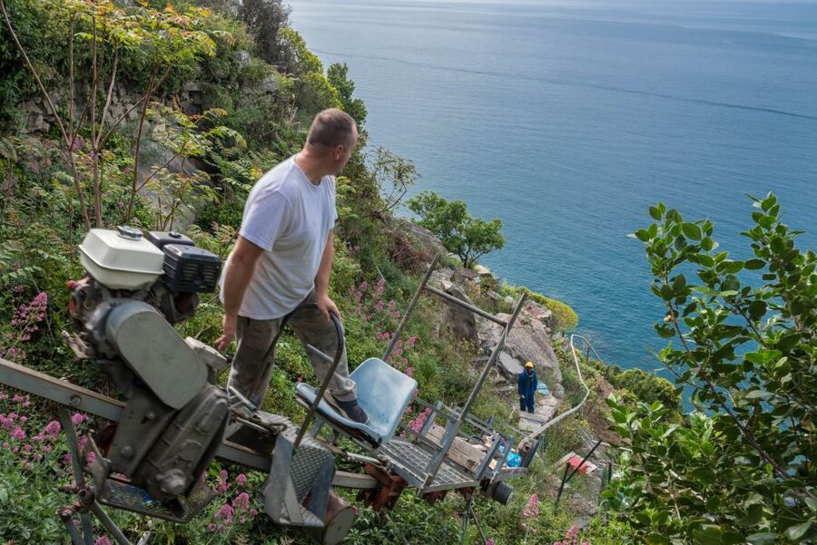 Riomaggiore: Vineyard & Wine Cellar Tour with Wine Tasting - Who will enjoy this experience most