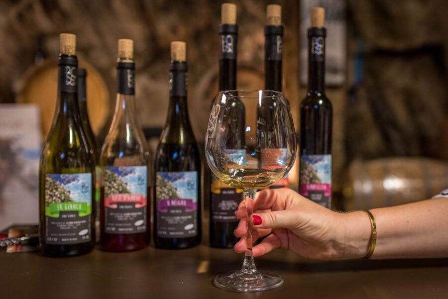Riomaggiore: Vineyard & Wine Cellar Tour with Wine Tasting - Meeting in Riomaggiore and walking uphill
