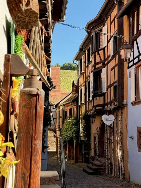 Riquewihr: the pearl of the vineyards with a local guide and tastings - The merchant houses of the 16th century