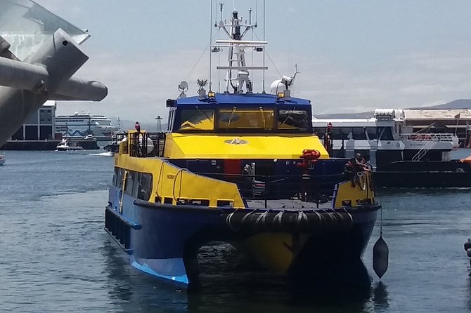 Robben Island + Stellenbosch Wineries From Cape Town Incl Tickets - How the transport and group size affect the day