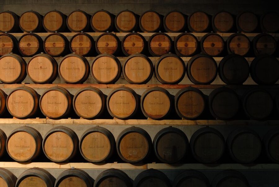 Rocca di Frassinello Winery: Tour & Wine Tasting in Tuscany - Etruscan culture at the San Germano exhibition