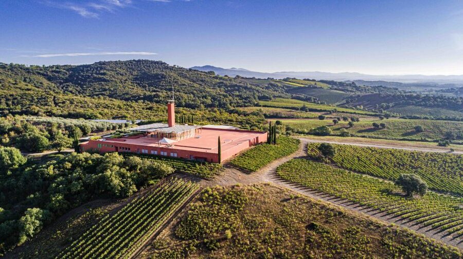 Rocca di Frassinello Winery: Tour & Wine Tasting in Tuscany - Inside Renzo Piano’s barrel room