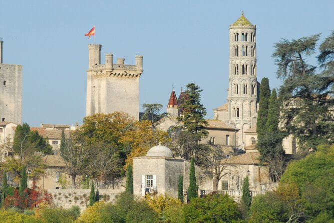 Roman heritages and Chateauneuf du Pape Wine Tour from Avignon - Guides make or break a busy day