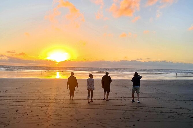 Romantic Auckland Sunset tour with Winery & Thermal pool - Muriwai Beach brings the big view