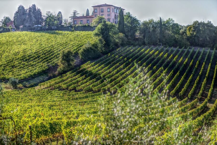 Rome: Private Tour to San Gimignano, Siena & Winery Visit - Private transport and meeting point details