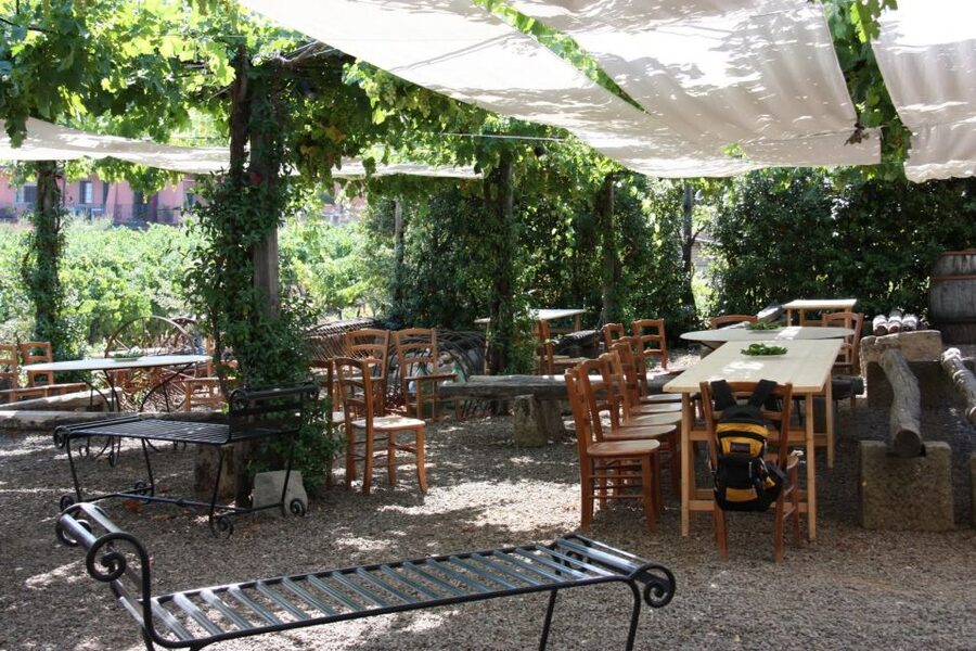 Rome: Private Wine Tour and Pasta Making Class in a Winery - Who should book this Castelli Romani outing?