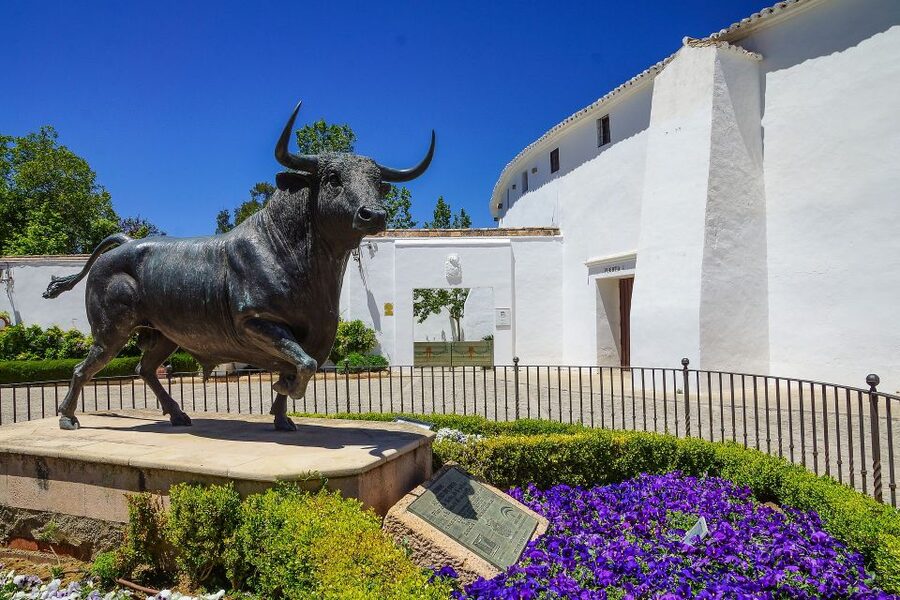 Ronda winery tour from Seville - Key points to know before booking