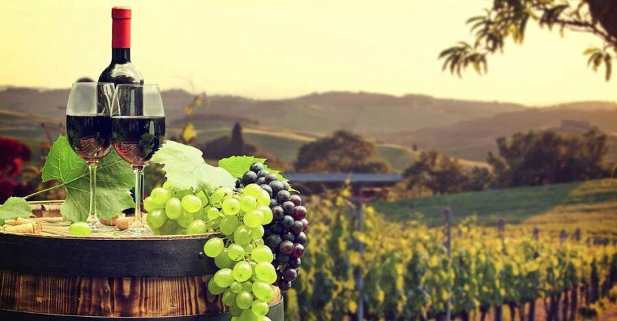 Ronda winery tour from Seville - Who will enjoy this day most?