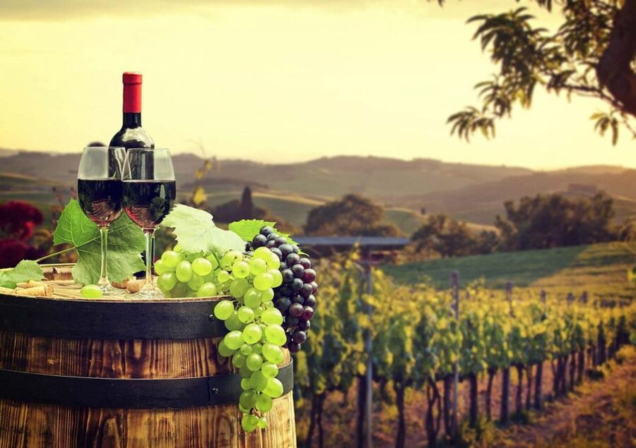 Ronda winery tour from Seville - Practical details that affect the day