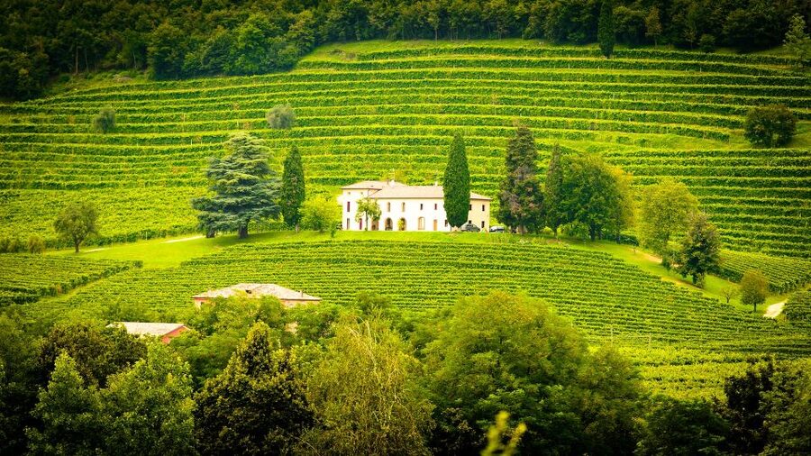 Ronda winery tour from Seville - Should you book this Ronda winery tour?