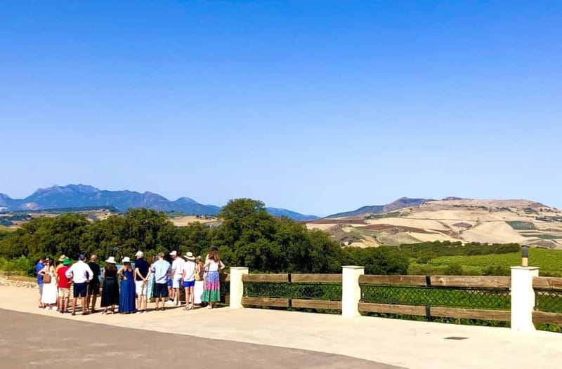 Ronda: Winery Tour with Wine Tasting and Tapas - Why Ronda Wine Tastes Different