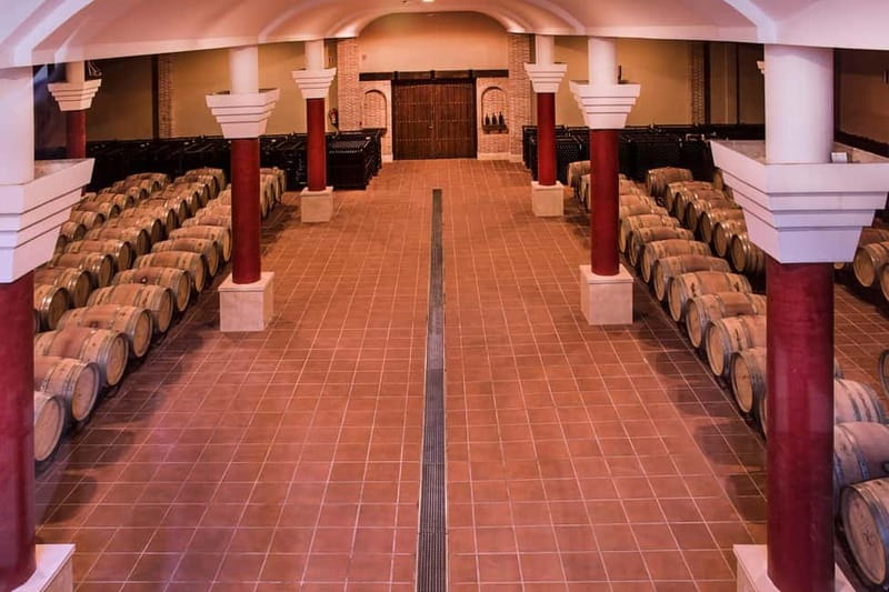 Ronda: Winery Tour with Wine Tasting and Tapas - From Grape Selection to Barrel Aging