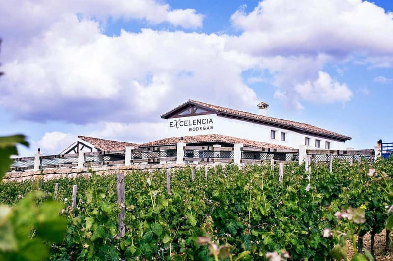 Ronda: Winery Tour with Wine Tasting and Tapas - Who Will Enjoy This Visit Most?