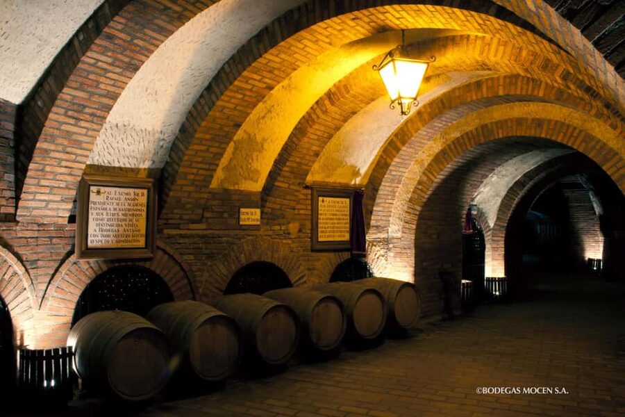 Rueda, Valladolid: Visit Bodegas Mocén for art, history, culture, and wine - Three wines and a cheese tapa
