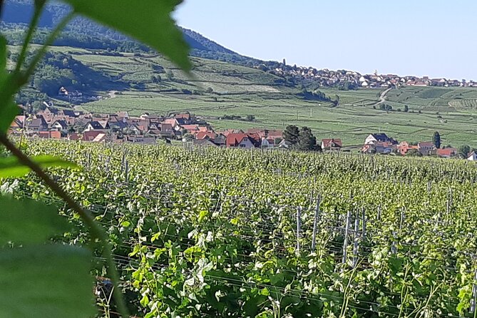 Safari-Tour Villages and vineyard, 1/2 day afternoon - Kaysersberg and the castle question
