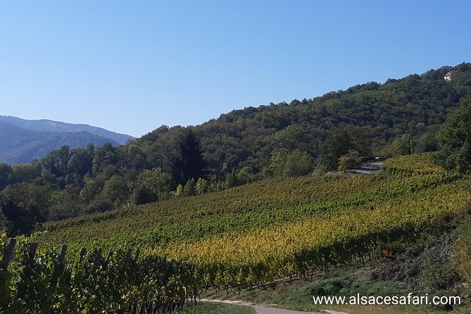 Safari-Tour Villages and vineyard, 1/2 day afternoon - Booking advice and cancellation terms