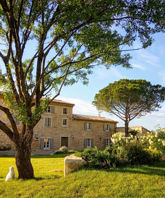 Saint-Didier: visit a vineyard & taste organic wines - Arriving at Domaine du Chat Blanc near Mont Ventoux