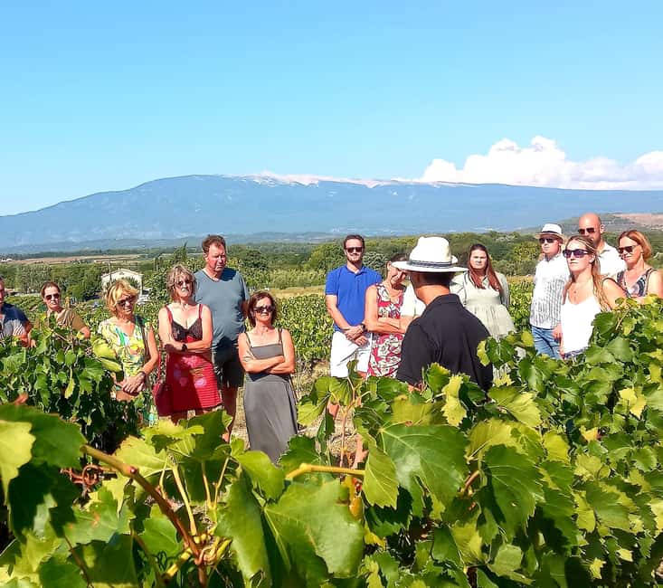 Saint-Didier: visit a vineyard & taste organic wines - Why the food pairing advice matters