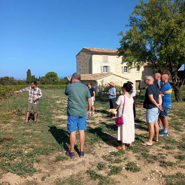 Saint-Didier: visit a vineyard & taste organic wines - What the $23 price delivers