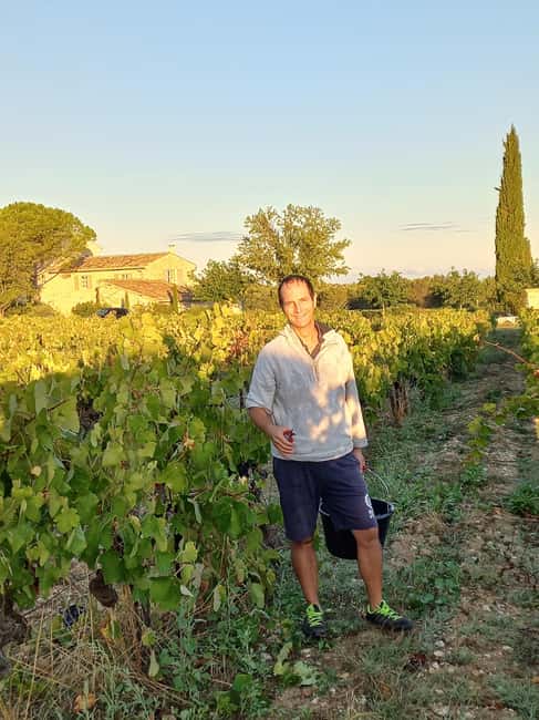 Saint-Didier: visit a vineyard & taste organic wines - How this compares with a quick tasting stop