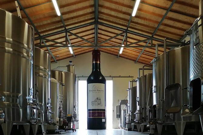 Saint-Émilion: 2 hours - Visit of the vineyard, the cellar and tasting - From grapes to tanks and fermentation