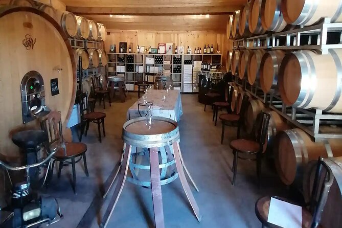 Saint-Émilion: 2 hours - Visit of the vineyard, the cellar and tasting - The barrel cellar and the wait for maturity