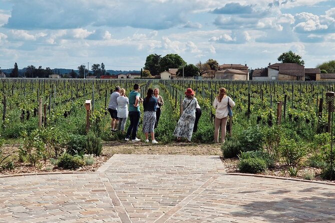 Saint-Emilion Afternoon Wine Tour - 2 Wineries & delicacies - Meeting in central Bordeaux at 1:30 pm