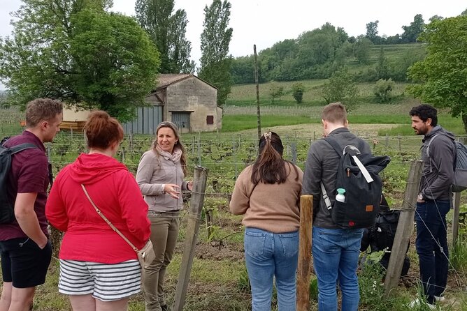 Saint-Emilion Afternoon Wine Tour - 2 Wineries & delicacies - The guides are a major part of the experience