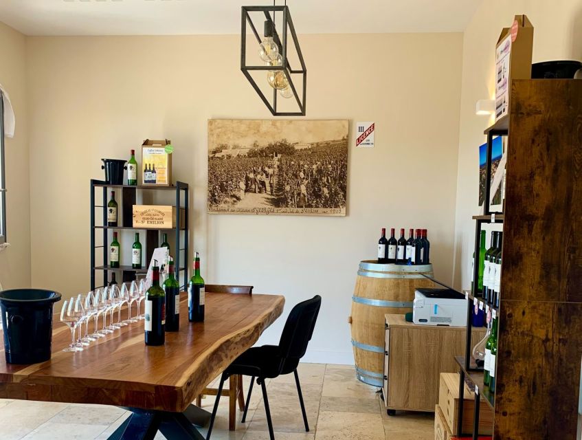 Saint-Émilion: Bordeaux Vineyard Tour and Wine Tasting - A compact introduction to Saint-Émilion wine