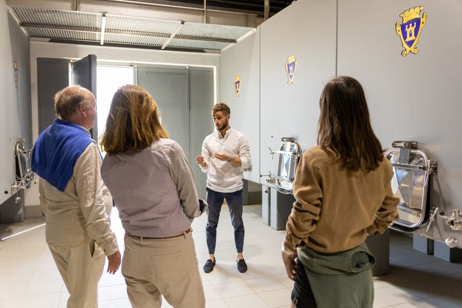 Saint-Émilion: Bordeaux Vineyard Tour and Wine Tasting - Inside the cellar and aging rooms