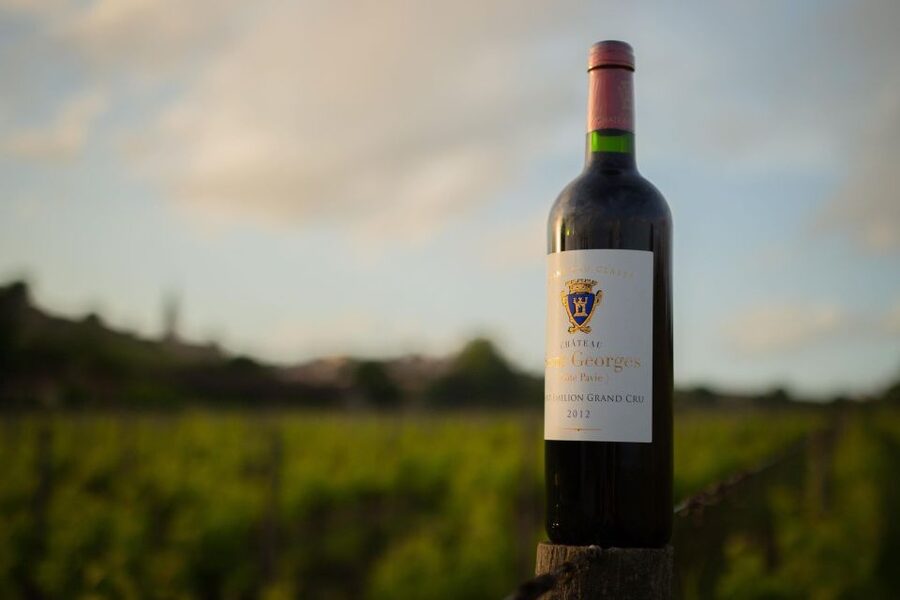 Saint-Émilion: Bordeaux Vineyard Tour and Wine Tasting - Why the one-hour length works