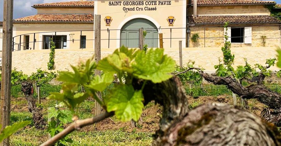 Saint-Émilion: Bordeaux Vineyard Tour and Wine Tasting - Pairing the château with medieval Saint-Émilion