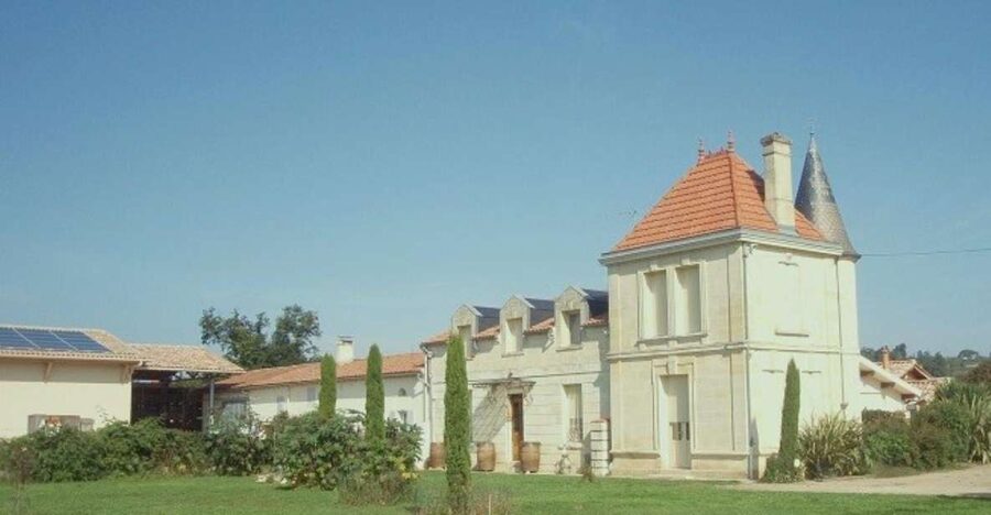 Saint-Émilion: Family Vineyard Visit with Wine Tasting - From grapes to wine in the vinification cellar
