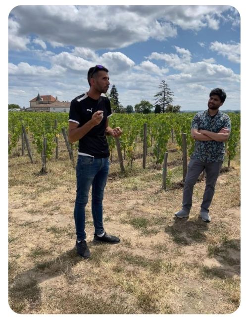 Saint-Émilion: Family Vineyard Visit with Wine Tasting - Why the $18 price is strong value