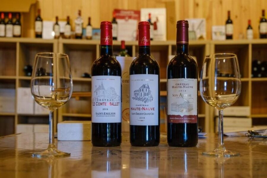 Saint-Émilion: Family Vineyard Visit with Wine Tasting - Starting in the vineyard