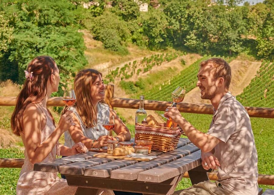Saint-Emilion: Grand Cru Classé Guided Winery Visit & Picnic - Key points to know before booking
